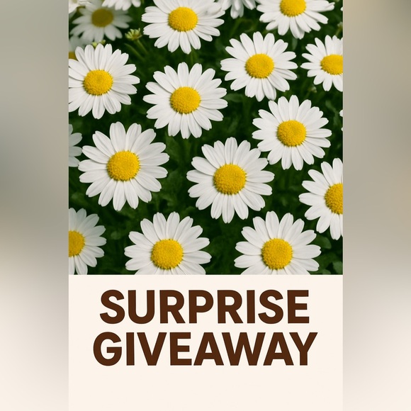 Pop up Share Show! No Theme! - Picture 5 of 7